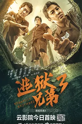 枫花恋车牌