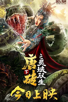 久久久久精品视频