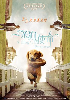 免费看日韩欧美一级毛片