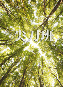 国产69精品久久久久9999小说