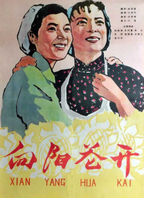 日韩在线不卡一区在线观看
