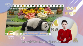 免费看91视频